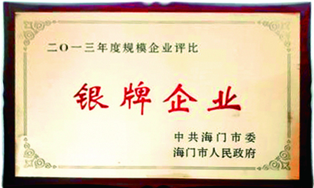 2013年度银牌企业