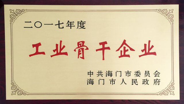 工业骨干企业